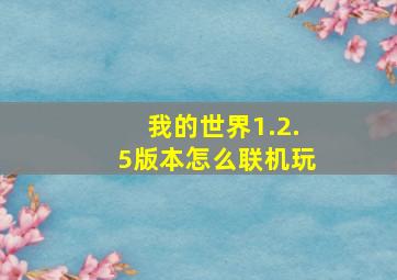 我的世界1.2.5版本怎么联机玩