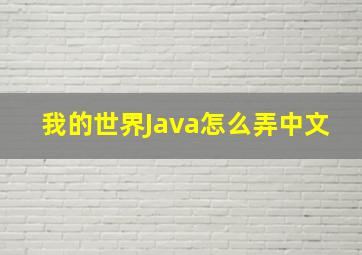 我的世界Java怎么弄中文