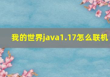 我的世界java1.17怎么联机