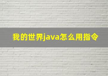 我的世界java怎么用指令