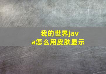 我的世界java怎么用皮肤显示