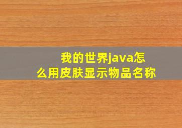 我的世界java怎么用皮肤显示物品名称