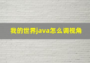 我的世界java怎么调视角