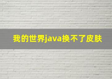 我的世界java换不了皮肤