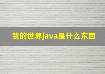 我的世界java是什么东西