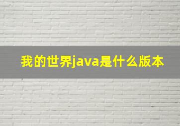 我的世界java是什么版本