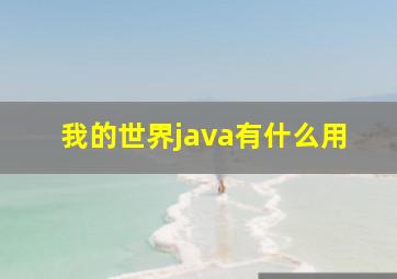 我的世界java有什么用