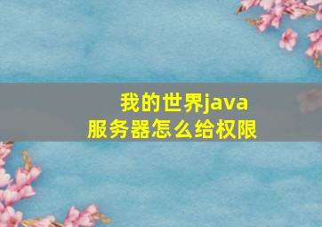 我的世界java服务器怎么给权限