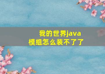 我的世界java模组怎么装不了了