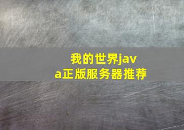 我的世界java正版服务器推荐