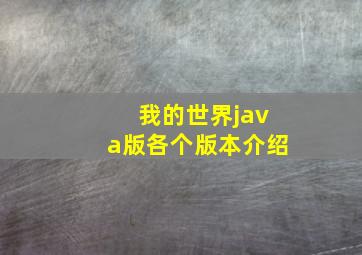 我的世界java版各个版本介绍