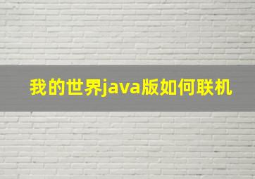 我的世界java版如何联机