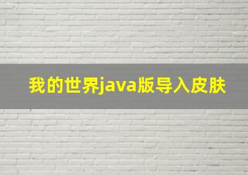 我的世界java版导入皮肤