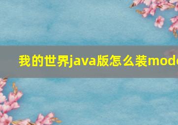 我的世界java版怎么装mode