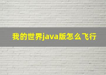 我的世界java版怎么飞行