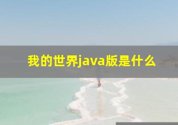 我的世界java版是什么