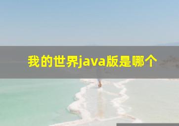 我的世界java版是哪个