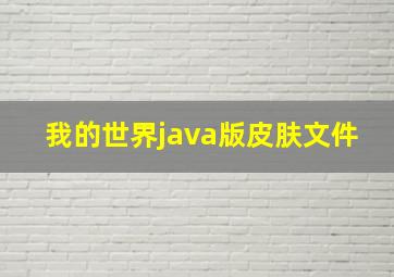 我的世界java版皮肤文件