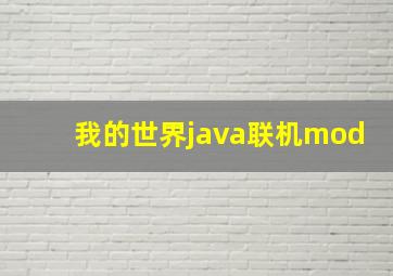 我的世界java联机mod