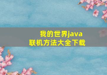 我的世界java联机方法大全下载