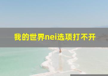 我的世界nei选项打不开