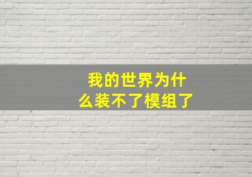 我的世界为什么装不了模组了