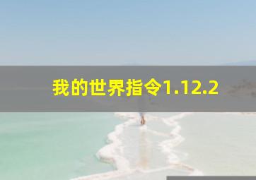 我的世界指令1.12.2