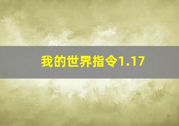 我的世界指令1.17