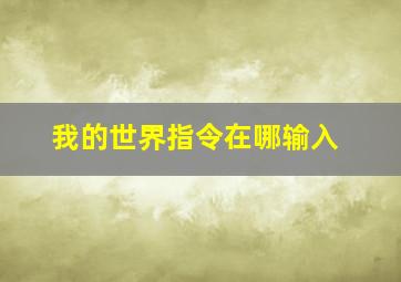 我的世界指令在哪输入