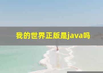 我的世界正版是java吗