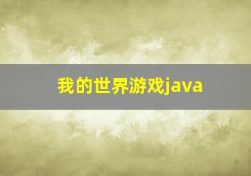 我的世界游戏java