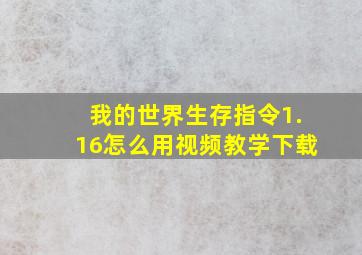 我的世界生存指令1.16怎么用视频教学下载