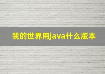 我的世界用java什么版本