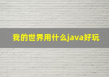 我的世界用什么java好玩