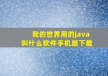 我的世界用的java叫什么软件手机版下载