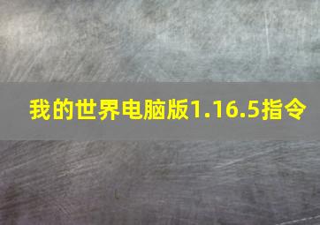 我的世界电脑版1.16.5指令