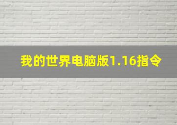 我的世界电脑版1.16指令