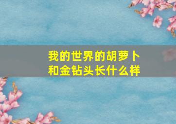 我的世界的胡萝卜和金钻头长什么样