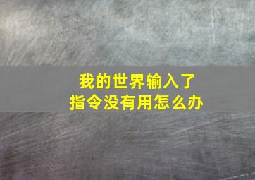 我的世界输入了指令没有用怎么办