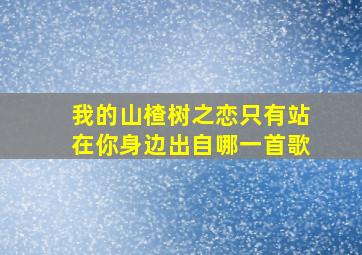 我的山楂树之恋只有站在你身边出自哪一首歌