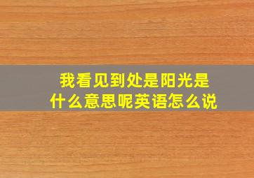 我看见到处是阳光是什么意思呢英语怎么说