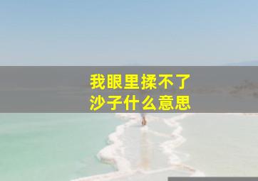 我眼里揉不了沙子什么意思