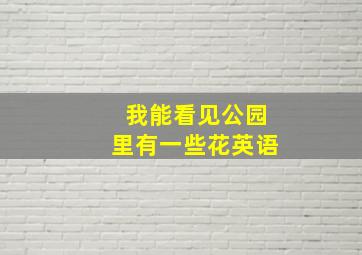 我能看见公园里有一些花英语