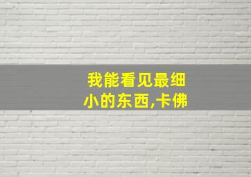 我能看见最细小的东西,卡佛