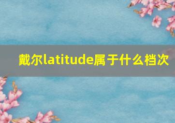 戴尔latitude属于什么档次