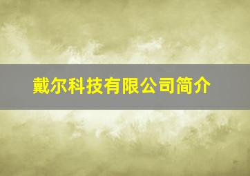 戴尔科技有限公司简介