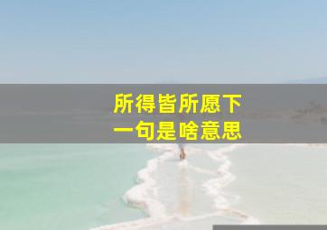 所得皆所愿下一句是啥意思