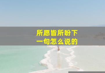 所愿皆所盼下一句怎么说的