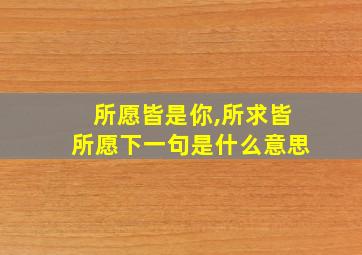 所愿皆是你,所求皆所愿下一句是什么意思