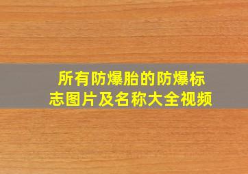 所有防爆胎的防爆标志图片及名称大全视频